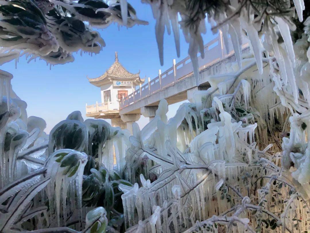 测试你的桃花运